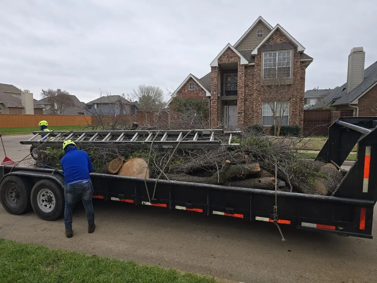 Expert Tree Removal with proper safety equipment in Bingham